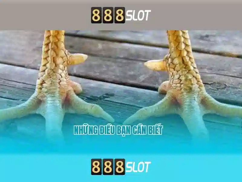 damo 888slot - 888 slot 1985 - slot thai 888 - 888slot-apk.com