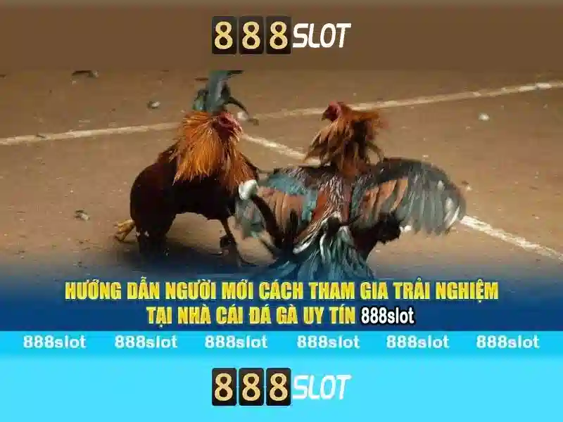 Tại sao 888slot được nhiều người lựa chọn cho trò chơi slot Tại sao 888slot được nhiều người lựa chọn cho trò chơi slot