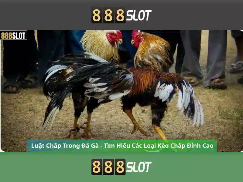 Đăng Nhập