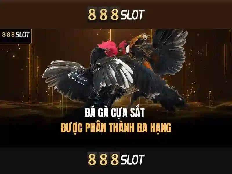 Đăng Nhập