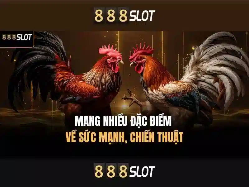 Đăng Nhập