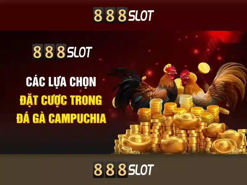 Giao diện người dùng và trải nghiệm di động
