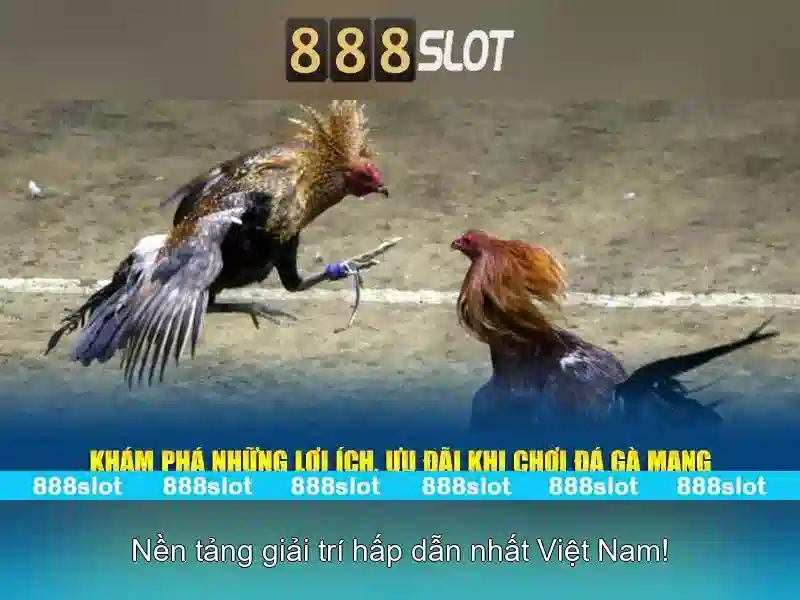 888slot - Nền tảng casino trực tuyến uy tín tại Việt Nam 1 Đăng Nhập