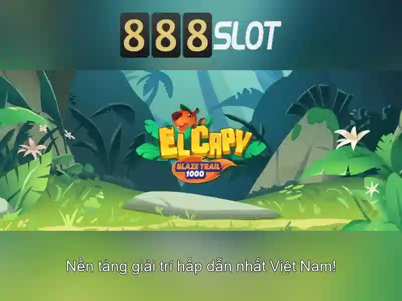 Kết luận